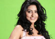 Sneha Spicy Photos